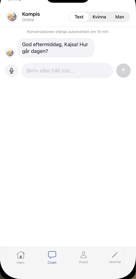 Chatten med kompisen