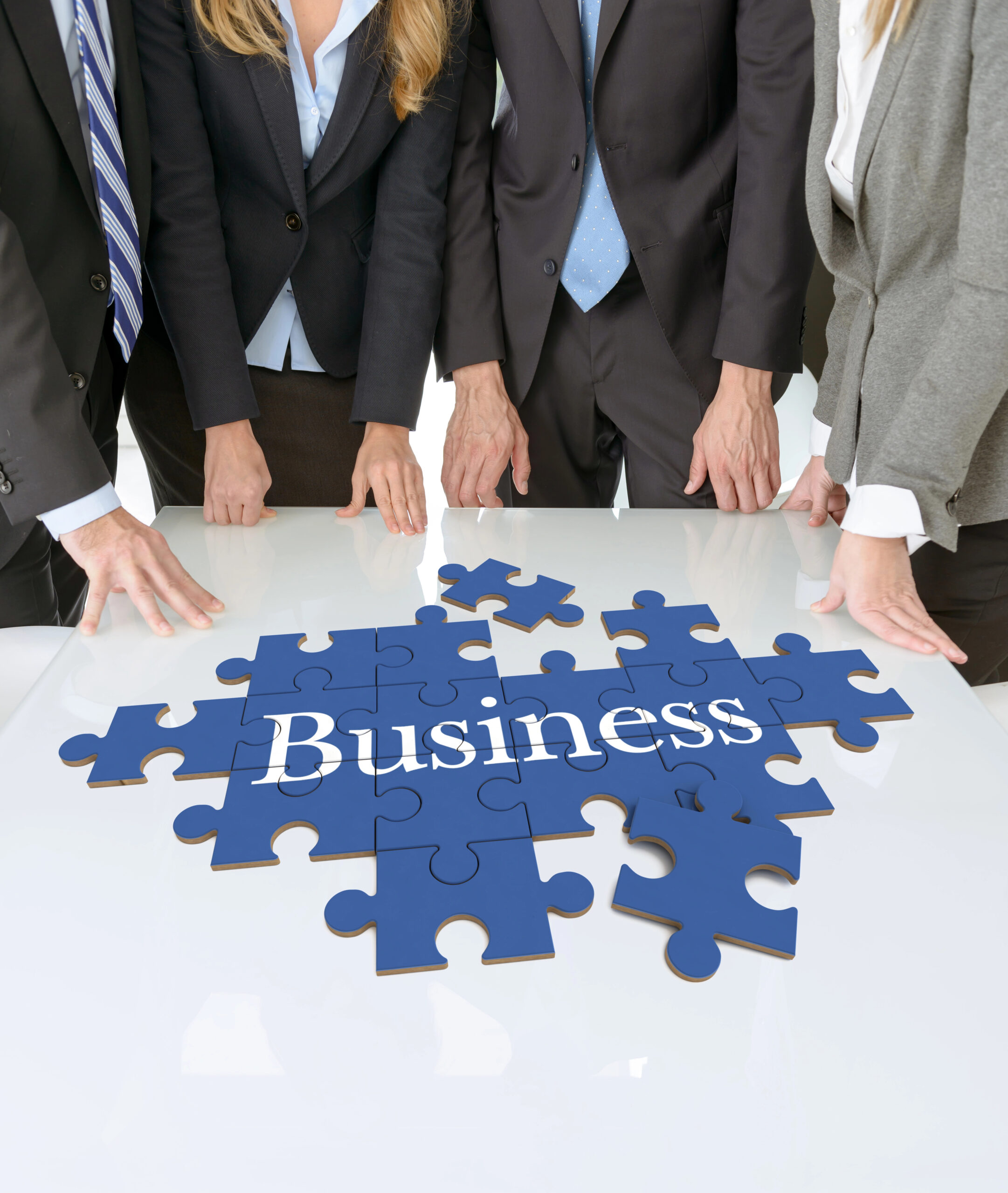 2025 business puzzle image for seafari.se business puzzle with staff
